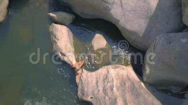 年轻女子坐在河中的大石头上，在水中的鸟瞰中浸<strong>泡脚</strong>趾。 快乐的女人把你的<strong>脚</strong>弄湿了